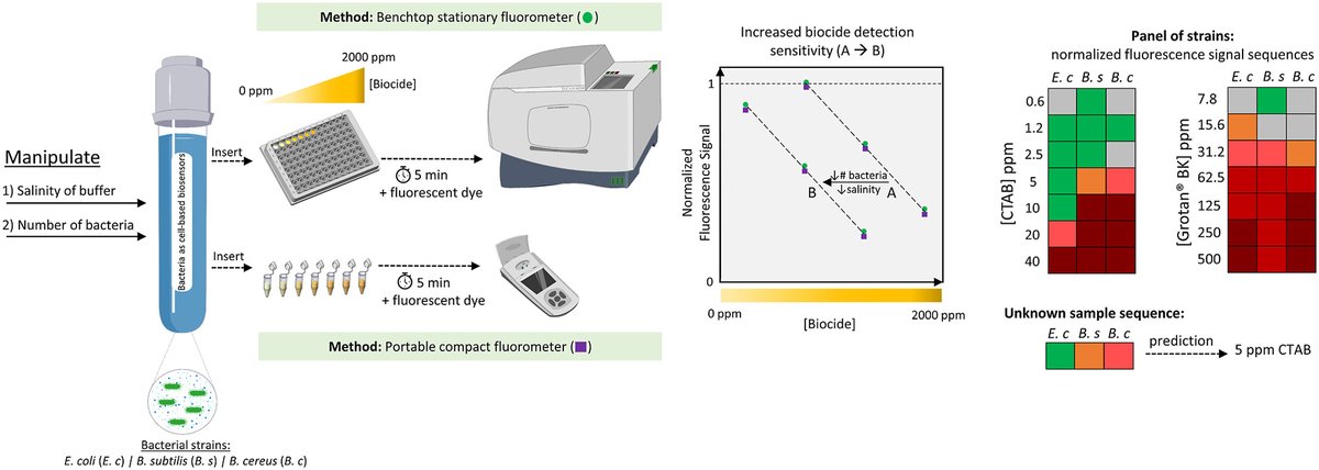 LatulippeLab's tweet image. A great month for the lab!

Read Patrick's wonderful paper: "Tuning the sensitivity of cell-based biosensors for the detection of biocides" here:

sciencedirect.com/science/articl…