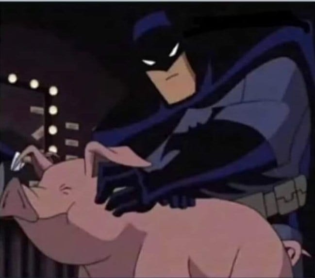 TacoGuapoVI's tweet photo. Señores hoy conocí a Batman y ustedes a la envidia, el que diga que es falso su mamá es falsa ella es su papá. https://t.co/Yw6GnSTMSZ