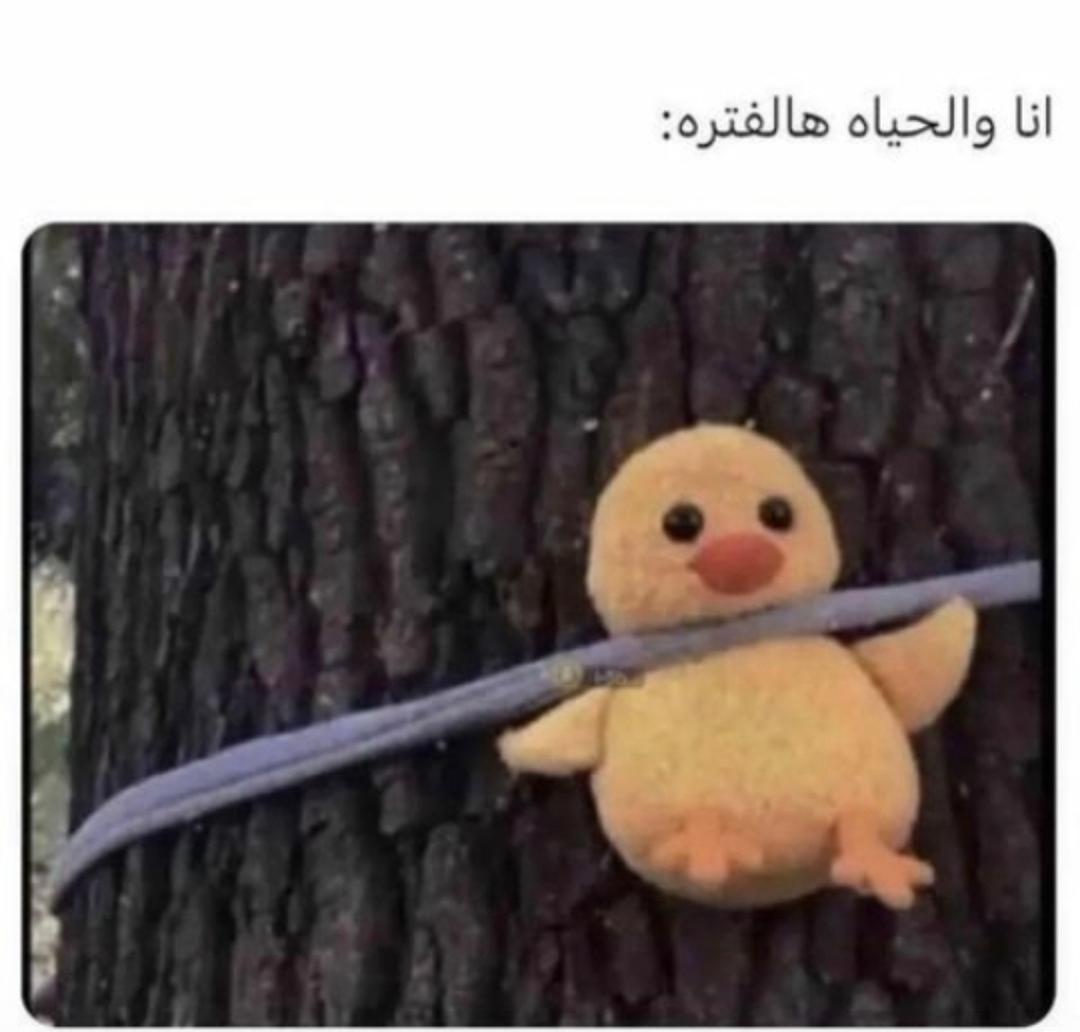 🙂💔