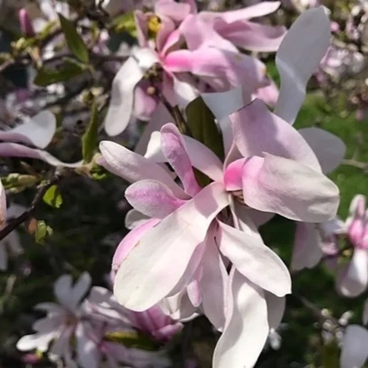 Spring is in the air in TORONTO!

 🌆#BeyondBuildings