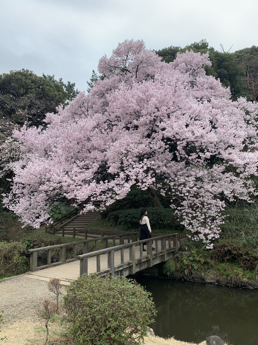 ginajeydin's tweet photo. @ricci_richy I'm asking those who love the outdoors to post a picture. A picture that YOU took. Just a pic, no description. The goal is to regain peace and harmony without negativity. Please copy the text, put a picture on YOUR page, and let's look at these beautiful pictures. 
Here’s mine. https://t.co/3mNhV1jftl