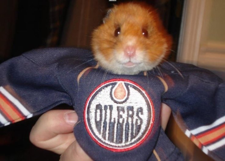 5StarEricGeorge's tweet image. Like this one??? Found on Google lol. Get to work @kennedystrash