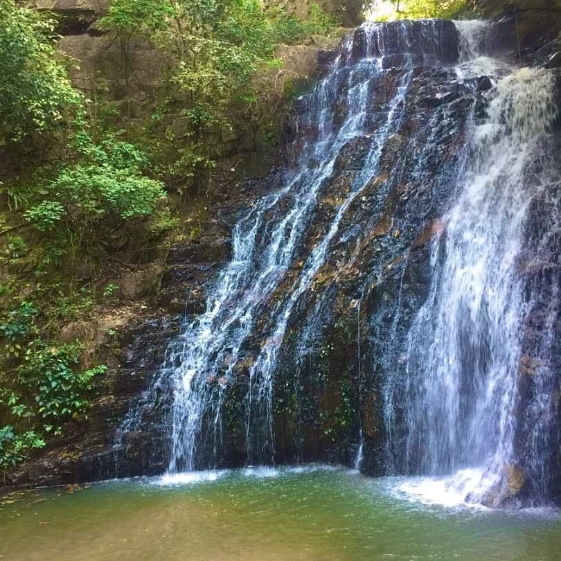 See Ghana📍 tweet media
