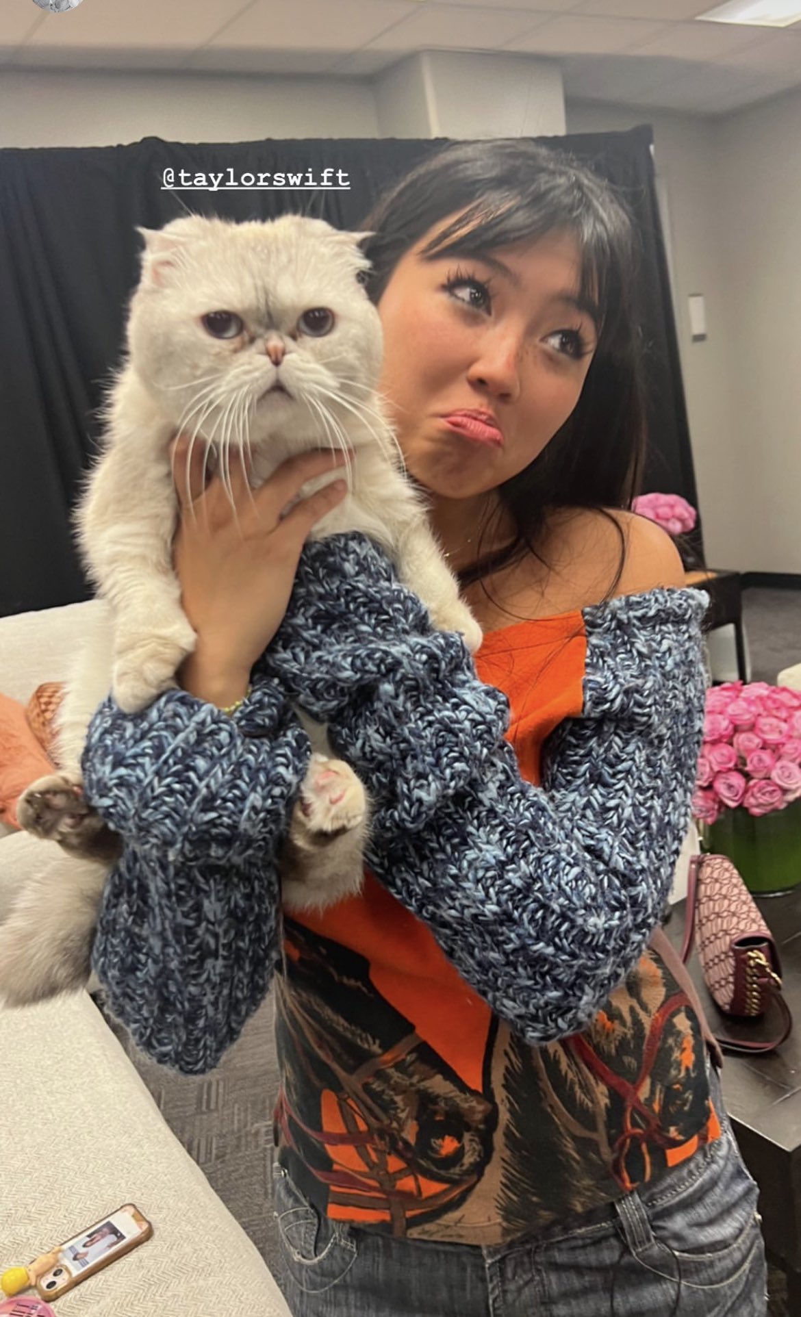 taylor swift ポーチ　猫 ODdBMTk3NjctNEYyRS00NDYxLUJFMz