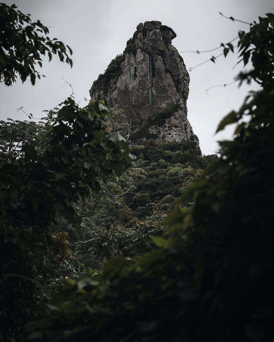 guipassosnz's tweet photo. While hiking up to The Needle in Rarotonga, stumbled upon this badass old Jeep that gave me serious Last of Us vibes.

#TheLastOfUs #TheLastOfUsFanart #Rarotonga #photography https://t.co/pg1r3IdKYD