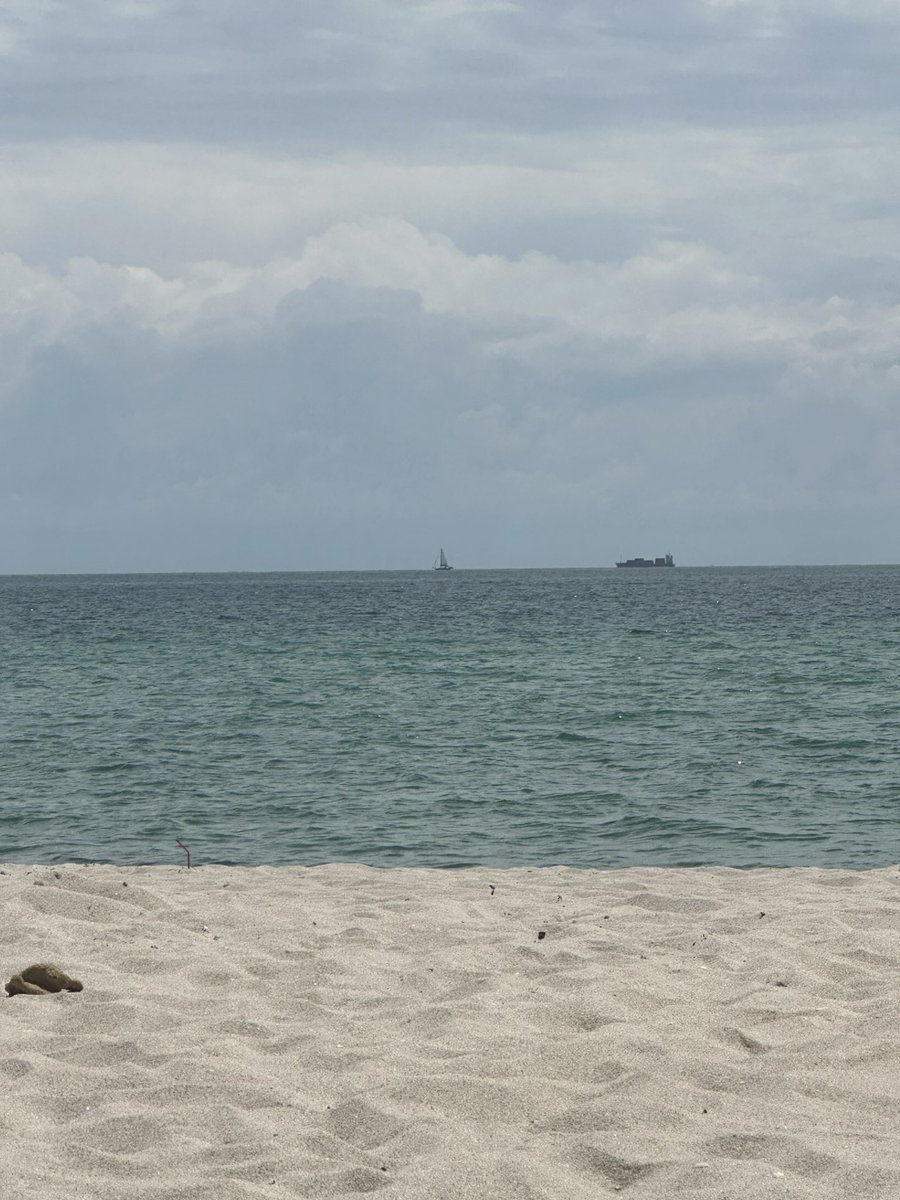 sarah leath tweet media