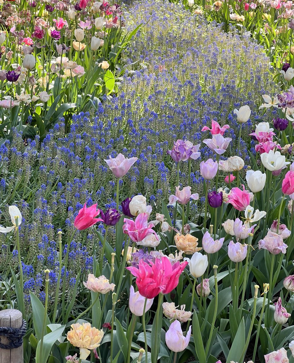 ขอให้หัวใจของเธอเข้มแข็งและเบ่งบานเสมอ :-)