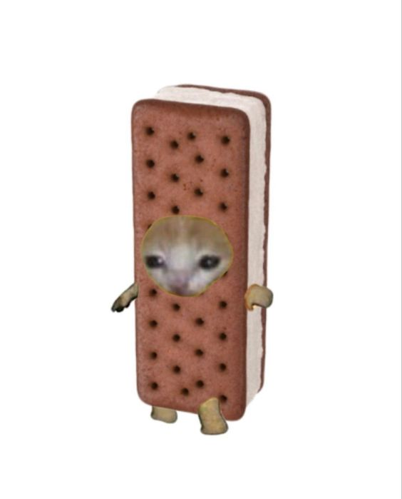 greatgalaktyka's tweet photo. thread of all 314 of these images i have saved https://t.co/efUiTsvEtr