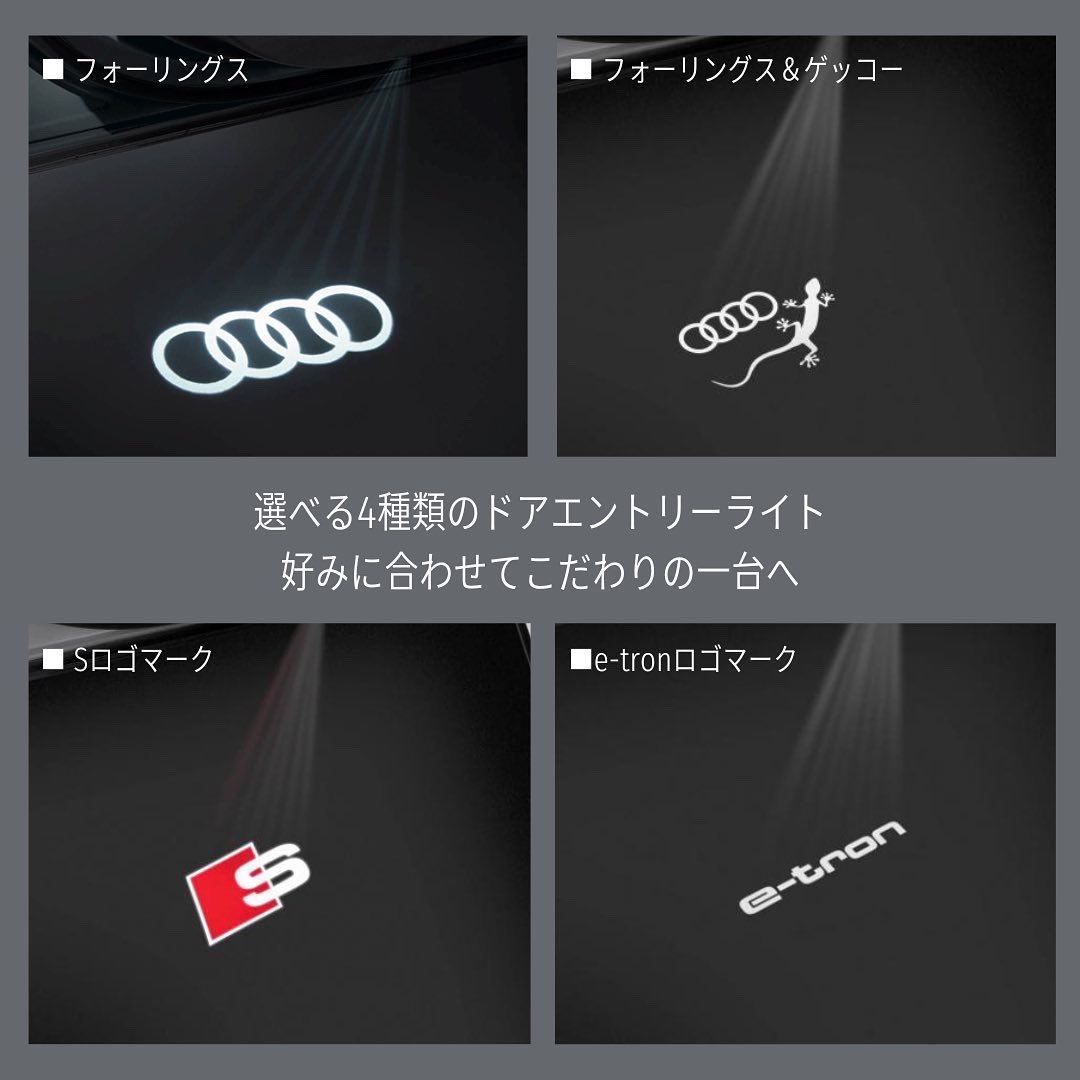 アウディ純正ドアエントリーライト【フォーリングス】 Audi純正 ドアエントリーライト（フォーリングス） Audi ドア