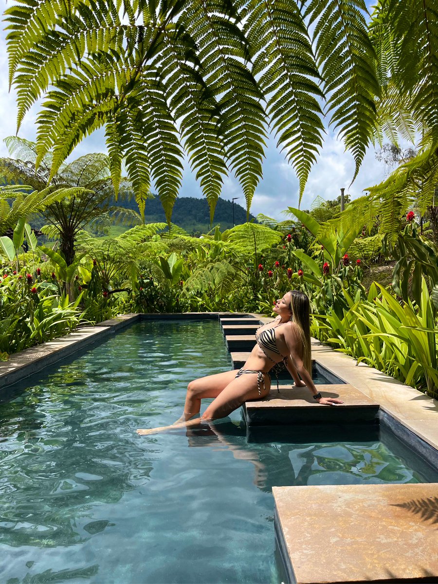 Nifega's tweet photo. Un cumpleaños maravilloso 🌴🌿🍃 https://t.co/vFySWjhhI4
