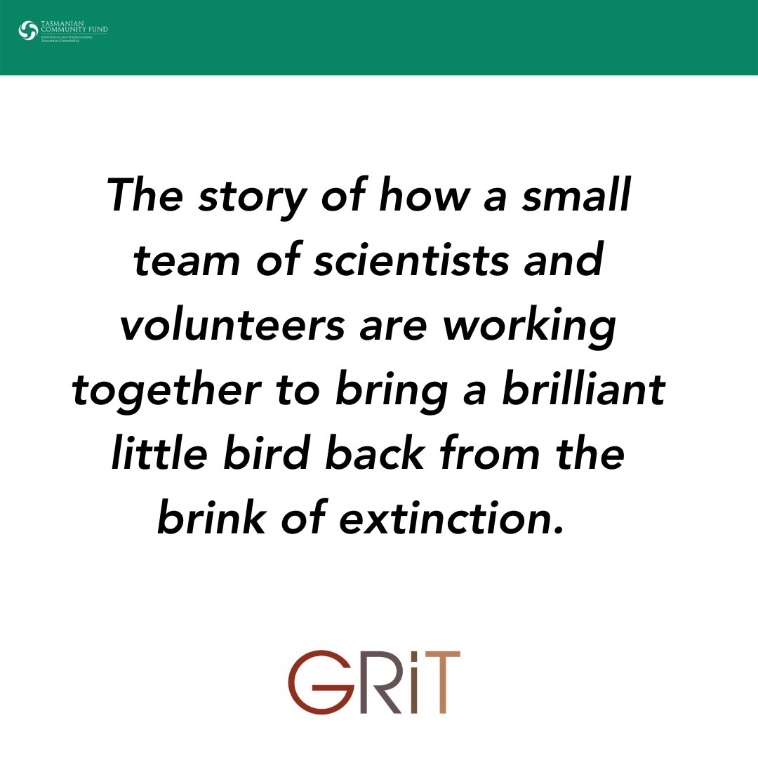 Our next film to screen this Saturday is the documentary PARROT PEOPLE, directed by Matthew Newton.
@tasgrit Tasmanian Spirit on Screen film festival premiere
Stanley Burbury Theatre, UTAS. April 29th 6pm
Tickets: eventbrite.com.au/e/604150519467