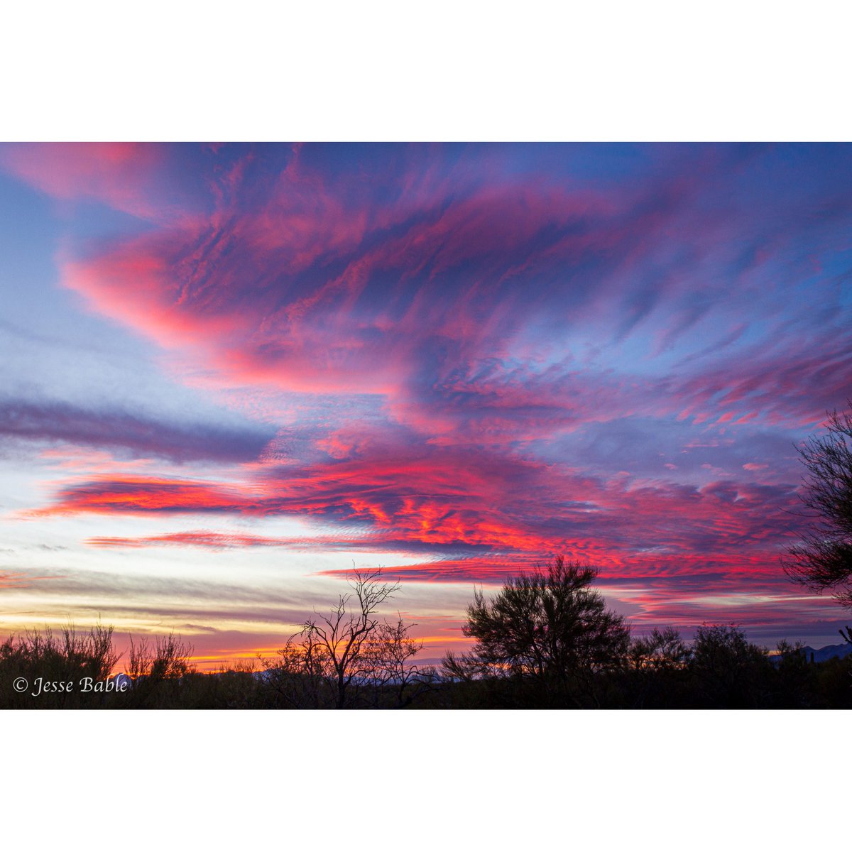 jessebable's tweet photo. I’ll never get tired of the sunsets in Tucson, AZ. You’d almost think that the sky was on fire. 🔥🌅
___
#photography #nature #SunsetLovers https://t.co/uYsI64nHNI
