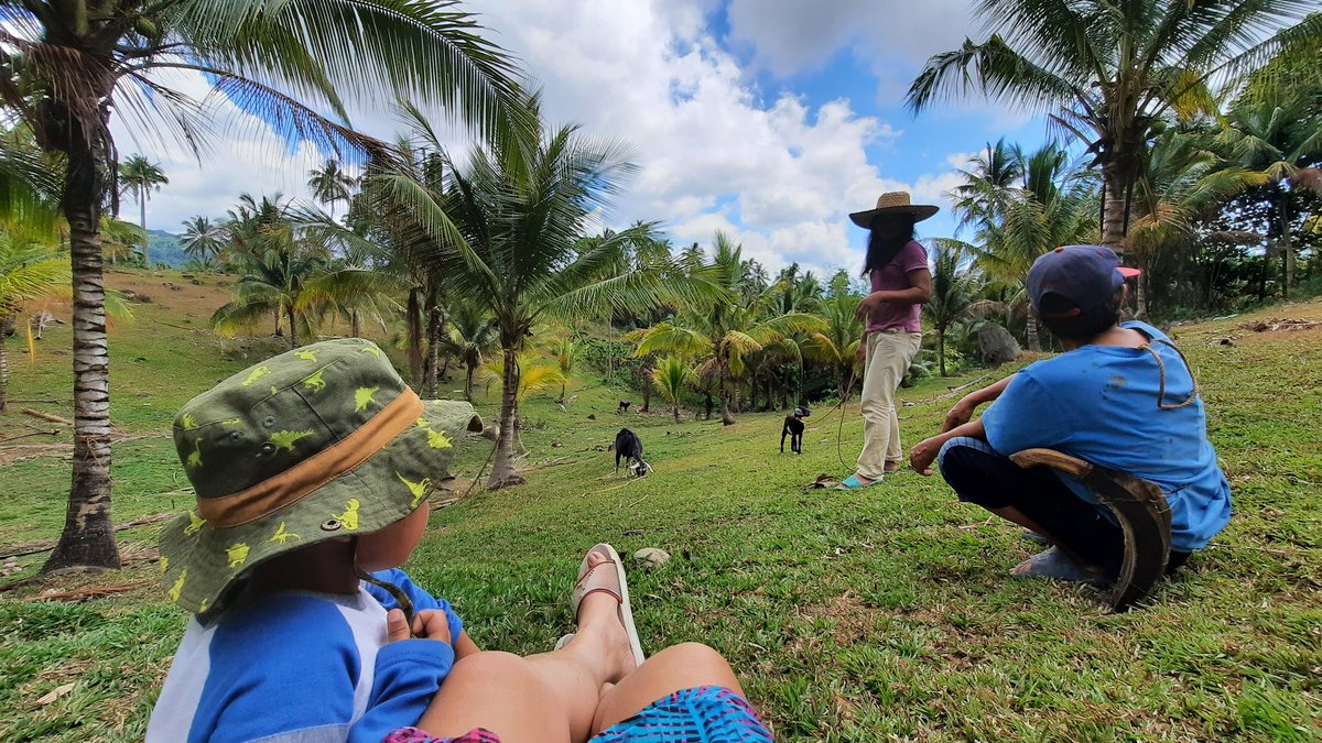 violalabs's tweet photo. Inita kaayo sa among bukid🌞 https://t.co/KBSdmkFoXa