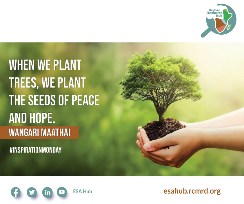 🌲On today's #inspirationmonday, we reflect on Nobel laureate - Wangari Maathai's quote on why we need to plant trees. Have a peaceful and hopeful Monday. ▶️esahub.rcmrd.org 
#ESAHub #RRH