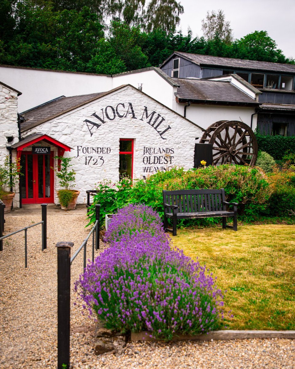 avocaireland's tweet photo. Due to photoshoots in our weaving mill, guided mill tours will not be running on 27th and 28th April. We apologise for any inconvenience caused. https://t.co/c1Zqo7ptKO #avocaireland #weavingmill #guidedtour #madelocal https://t.co/DIaWiB37Np