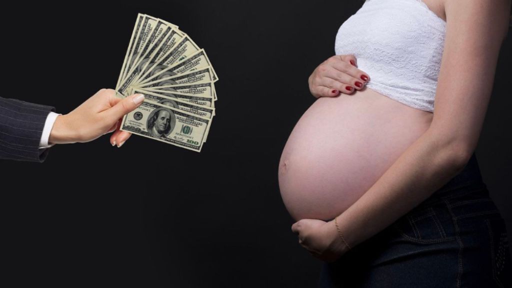 Flera debattörer kräver att Sverige omedelbart inför ett förbud mot internationella surrogatarrangemang.
De menar att svenska medborgare genom surrogatarrangemang utnyttjar utsatta kvinnor i fattiga länder. fuf.se/magasin/vecka-… #utvpol #svpol