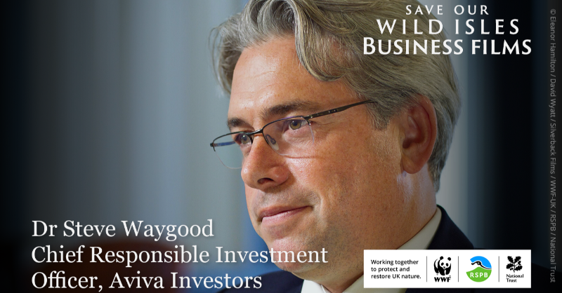 avivaplc's tweet photo. Hear from @stevewaygood, Chief Responsible Investment Officer at @avivainvestors, alongside other key business people, about the importance of nature to business in these specially produced #SaveOurWildIslesBusiness films.
 
#SaveOurWildIsles #ClimateReady