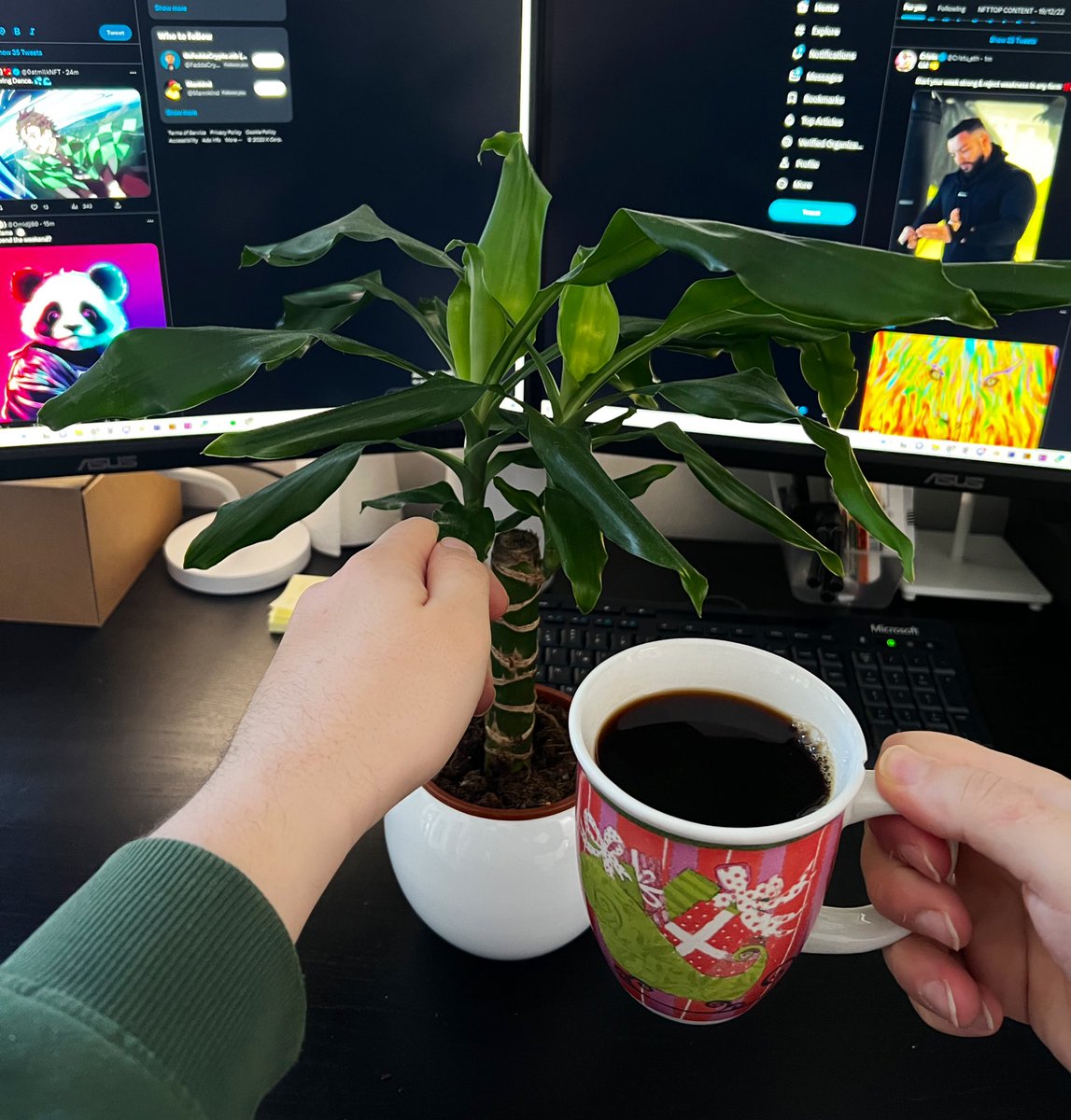 Chill Pill 🔮 (Bald) tweet media