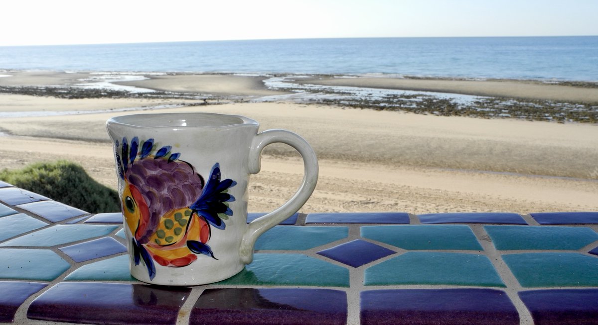🌟Seaside Morning🌟

#Photography 
#Coffee 
#Ocean #RockyPoint #Mexico 
#GlensBalcony