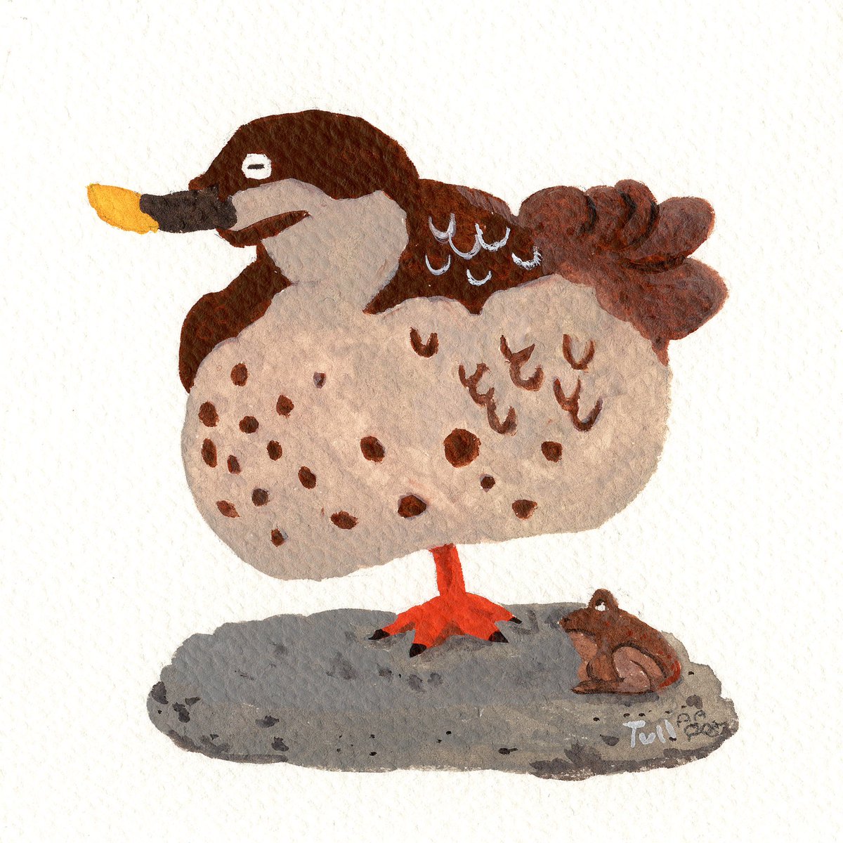 片足で眠るカルガモ🦆最近気分転換に水彩で描いてみてます。ちなみに右下にあるのは茶色いカエルです、カモの‥じゃありません💩筆の扱いがまだまだ初心者ですが、楽しいのでこれからもぼちぼち描いていきたいと思います！ https://t.co/inchQT254G