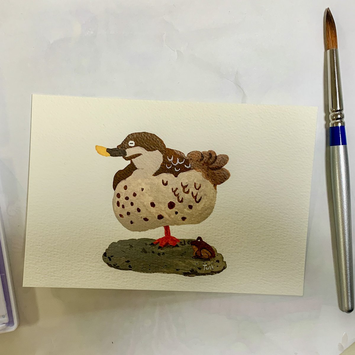 片足で眠るカルガモ🦆最近気分転換に水彩で描いてみてます。ちなみに右下にあるのは茶色いカエルです、カモの‥じゃありません💩筆の扱いがまだまだ初心者ですが、楽しいのでこれからもぼちぼち描いていきたいと思います！ https://t.co/inchQT254G