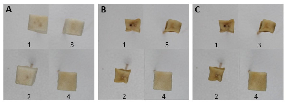 Coatings_MDPI's tweet image. 📖 Multilayered Edible Coatings to Enhance Some Quality Attributes of Ready-to-Eat Cherimoya (Annona cherimola)

#Multilayer coating can be applied on fresh #fruit to #protect and enhance its #shelf #life.  Please see:

mdpi.com/2079-6412/13/1…

#mdpi #Edible #foodpack