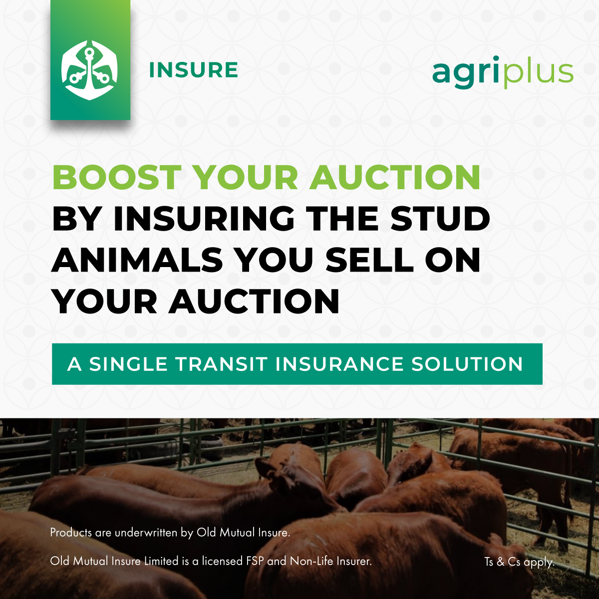 SwiftVEE (@teamswiftvee) on Twitter photo ⭐AGRIPLUS⭐
Boost your AUCTION with SwiftVEE and <a href="/OldMutualInsure/">Old Mutual Insure</a>'s AGRIPLUS Single Transit Pedigree (stud) animals cover!
Enquire by sending an email to hello@swiftvee.com ⭐AGRIPLUS⭐
Boost your AUCTION with SwiftVEE and <a href="/OldMutualInsure/">Old Mutual Insure</a>'s AGRIPLUS Single Transit Pedigree (stud) animals cover!
Enquire by sending an email to hello@swiftvee.com