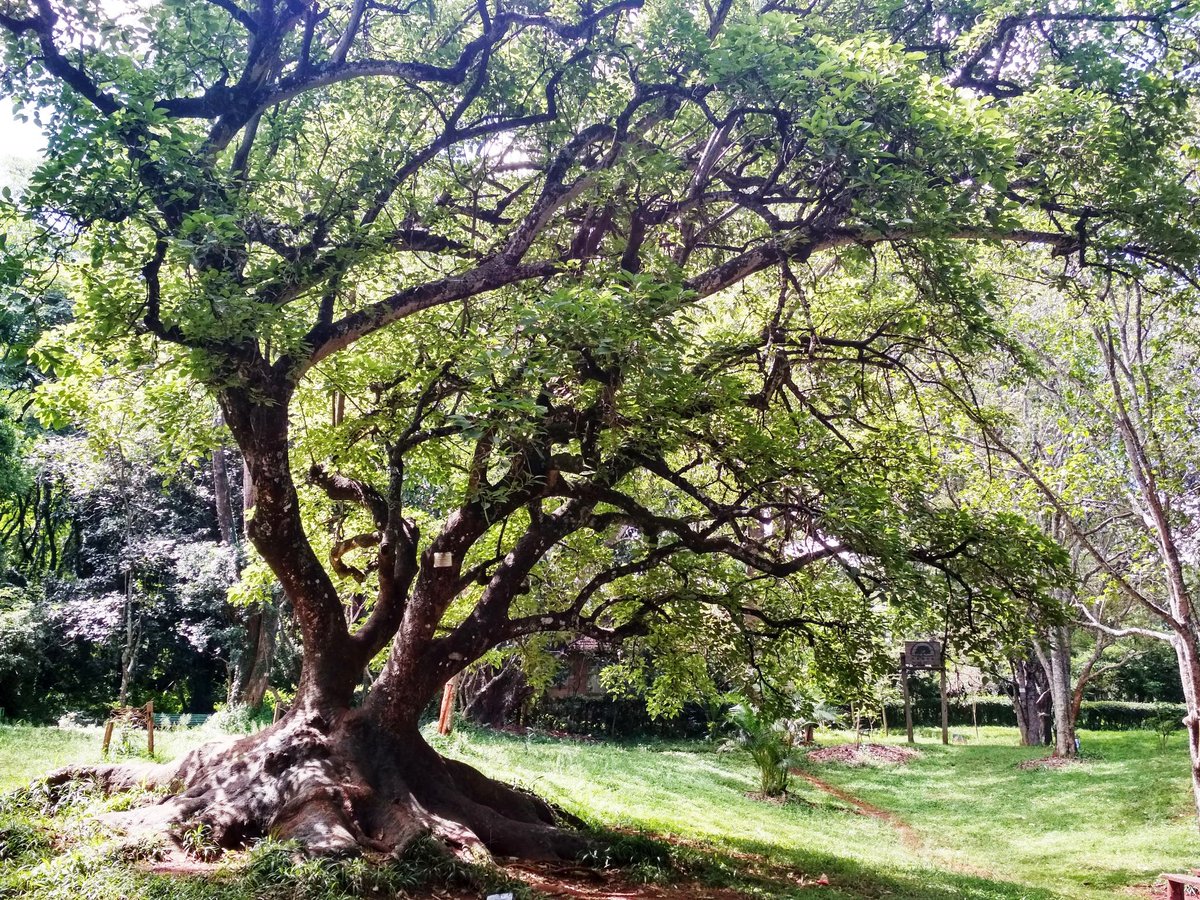 authormadhulika's tweet photo. I'm asking those who love the outdoors to post a picture. A picture that YOU took. Just a pic. No description. The goal is to regain peace and harmony without negativity. Please copy the text, put a picture on YOUR page, and let's look at these beautiful pictures. Here’s mine. https://t.co/Js1xS0SvK0
