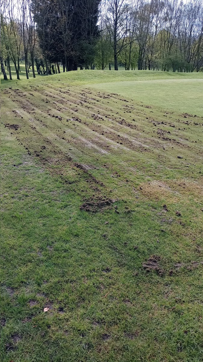 Pastures Golf Club tweet media