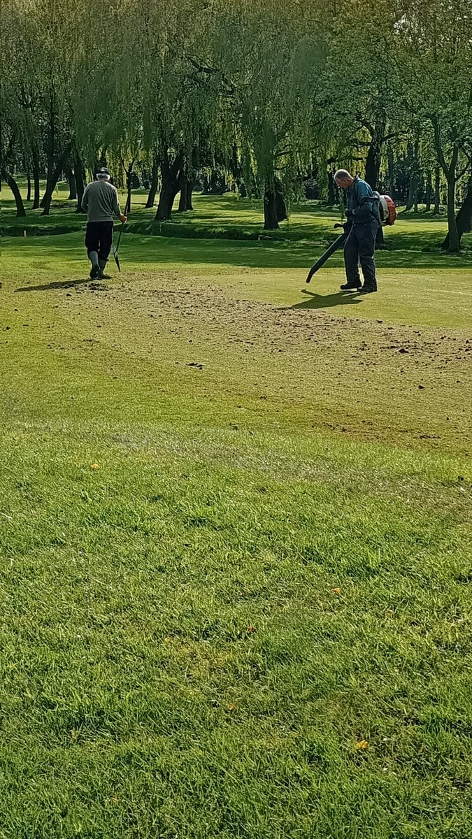 It might bad, but it'll do the greens loads of good. Graden, yes graden, work commenced before overseeing and dressing.