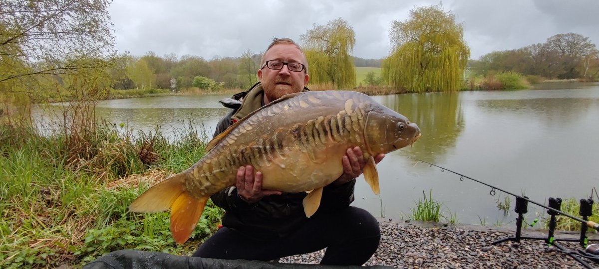 SiFishes's tweet photo. The 5th day at Elphicks North lake ended with this 28lber! Totally soaked but very happy. Just wait till you see what else we caught! Video soon! #sifishes #carp #fishing #epic #pbs #elphicks https://t.co/EqNjllTdtM