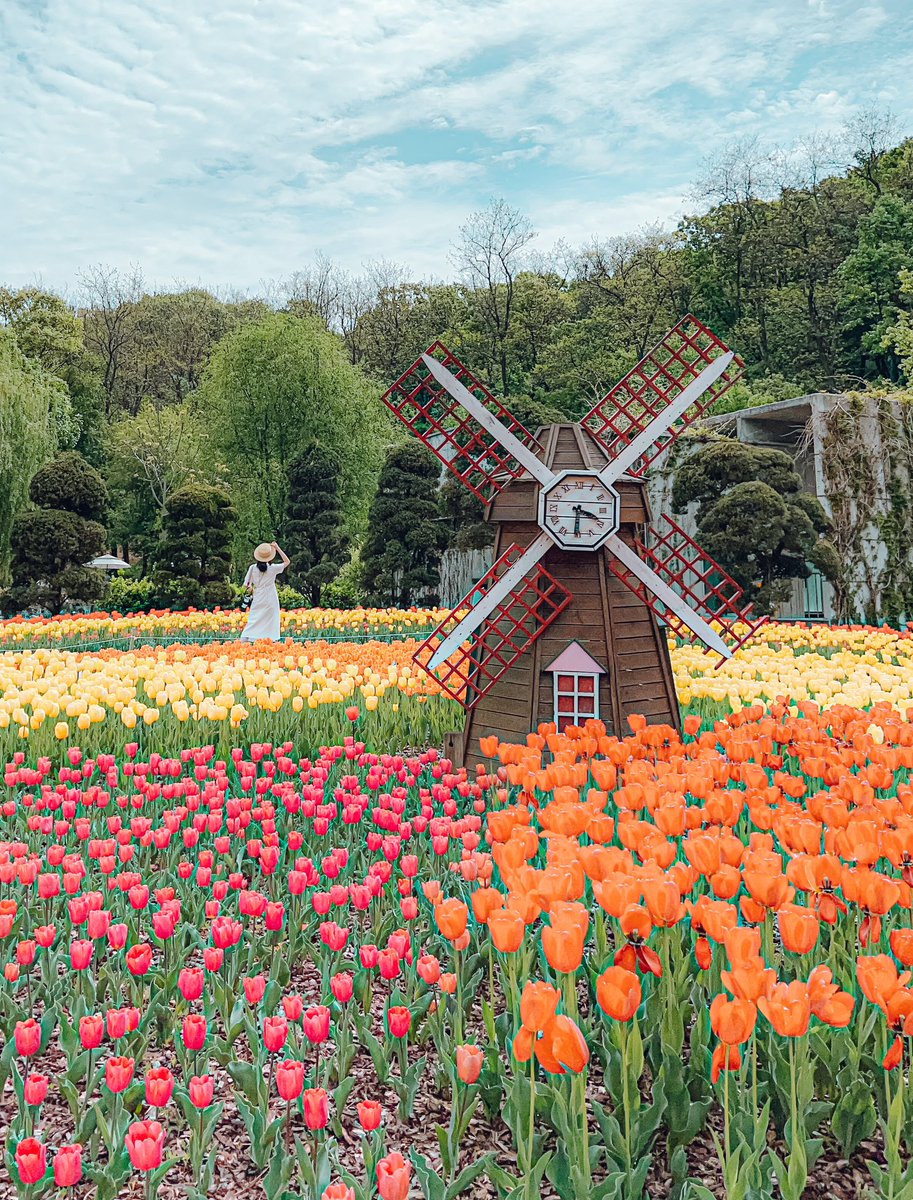 Ployslittleatls's tweet image. Escape the concrete jungle and discover a natural oasis at Mureungdowon Arboretum!

#hellofrom #bucheon #gyeonggido #korea