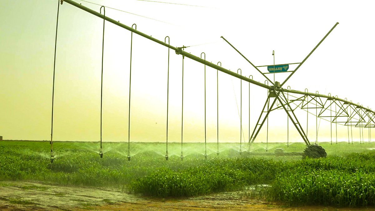 Amana_Agro's tweet photo. [#Amana_Agro]☘️🍀

Amana Agro s'efforce de mettre en application le système PTC (Produire, Transformer et Consommer) à court terme, puis PTCE (Produire, Transformer, Consommer et Exporter) à moyen et long terme.

Toujours au cœur du développement de l'agro-industrie au Niger 🙂 https://t.co/xDpOC0shG0