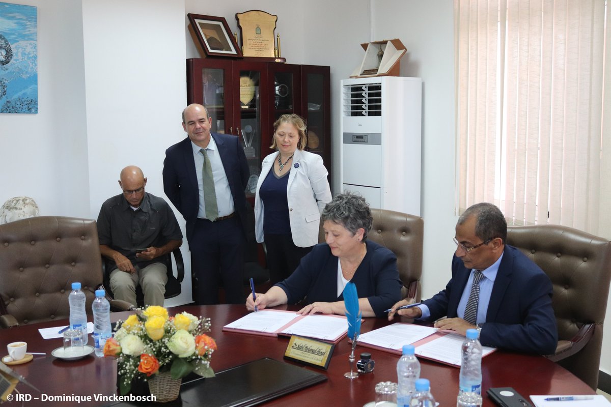 ird_fr's tweet photo. 🤝 L'#IRD et le @sgmensur 🇩🇯 ont déclaré leur intention de promouvoir la #scienceouverte pour un impact accéléré des actions de recherche menées en partenariat avec le Centre d’Études et de Recherches de Djibouti (#CERD) et l'observatoire #ORREC.
#OpenScience #climatechange https://t.co/Lpyed1iLrg