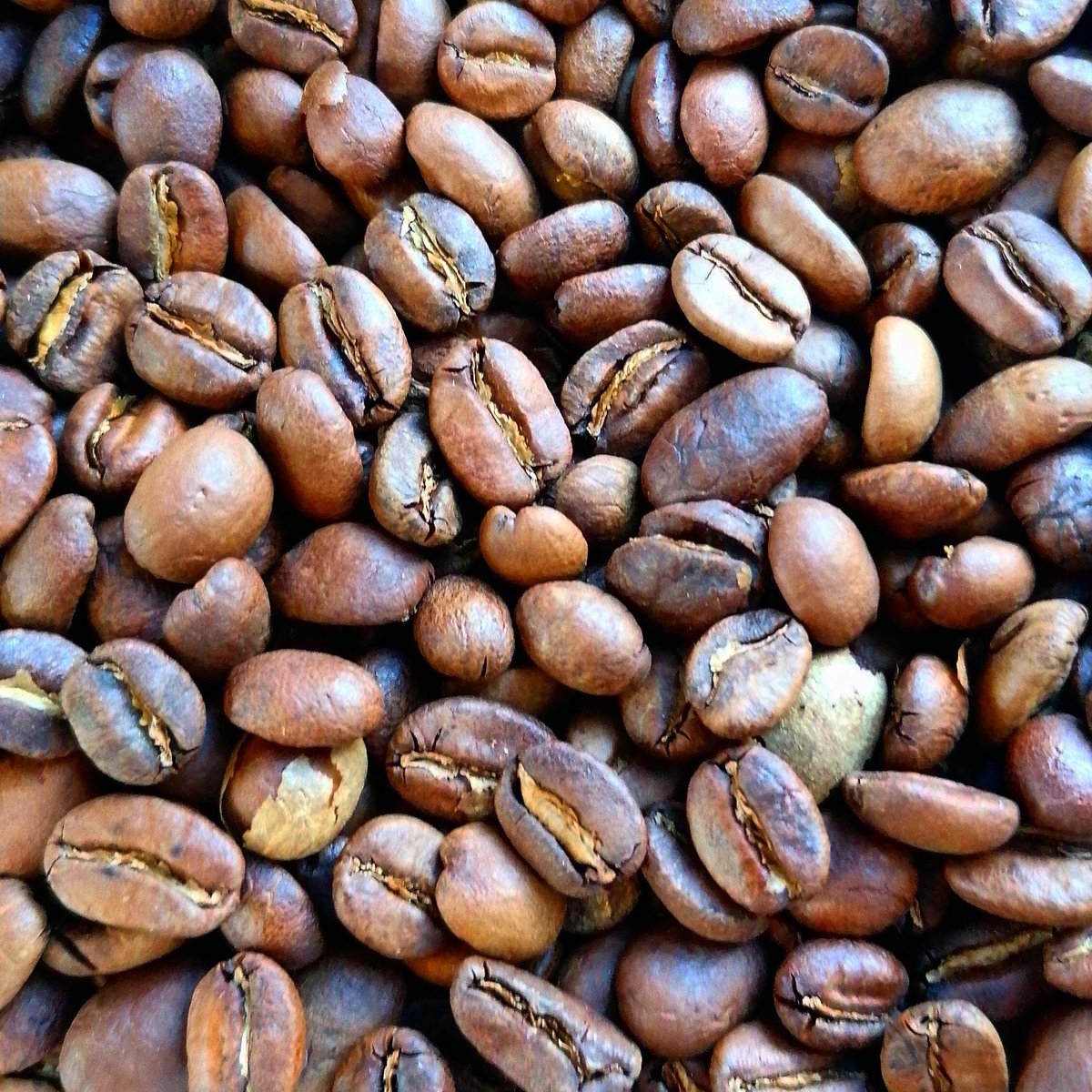 It's a brew-tiful day! 😎

Fancy starting your week working in a new location? We've got spaces to suit everyone!

Find your space - lsibridport.co.uk/spaces

#hotdesking #bridportbusiness #dorsethotdesks #CoWorking