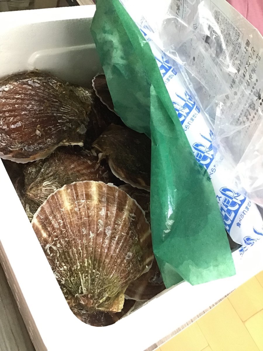 accessLabo's tweet photo. 青森から
#贈りもの

🐚どのように調理しよかな

😋

ー 後日 🔥
お刺身、煮もの、ガーリックバター炒めに

,.,(´º﹃º｀)

#青森産 #ホタテ #ほたて #帆立 #青森 #届け物 #料理 #献立 #過去ツイ https://t.co/FFgXCFVuI2