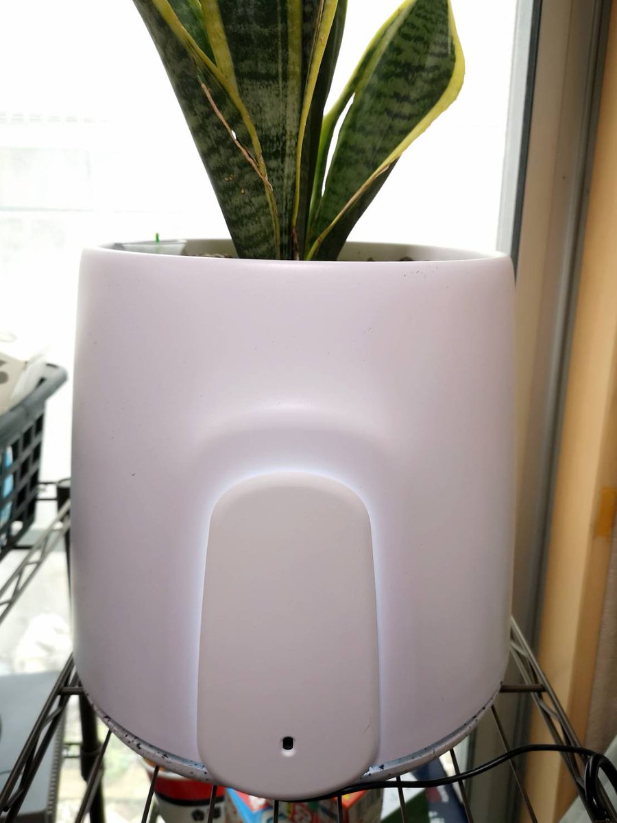 KibidangoJp's tweet photo. 植物の浄化作用を増幅させる空気清浄機界のニューフェイス #Natede のサンプルを預かりました。
こういう新しいジャンルを切り開く商品はまさにクラウドファンディングって感じですよねー！
#あなたから溢れている雰囲気 
[文責:ツイ担] https://t.co/jqhWdBrgQD