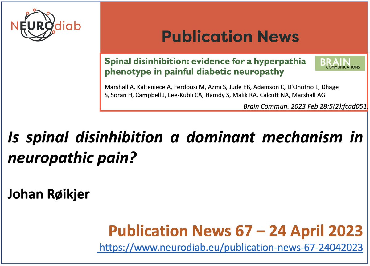 Is spinal disinhibition a dominant mechanism in #neuropathicpain? 
On Neurodiab website a signaling of articles on
#diabeticneuropathy The 67th NEUROdiab Publication News is by Johan Røikjer (neurodiab.eu/publication-ne…)