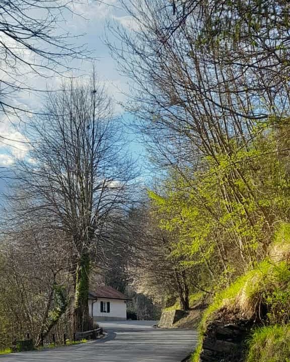 parcoantola's tweet photo. #buongiorno dalla strada vecchia di Laccio...

🔍Sapevi che... Una parte del paese, quella più bassa, si trova lungo la riva destra dello Scrivia, mentre quella superiore è adagiata alla collina

#24aprile https://t.co/eAklvAvax5