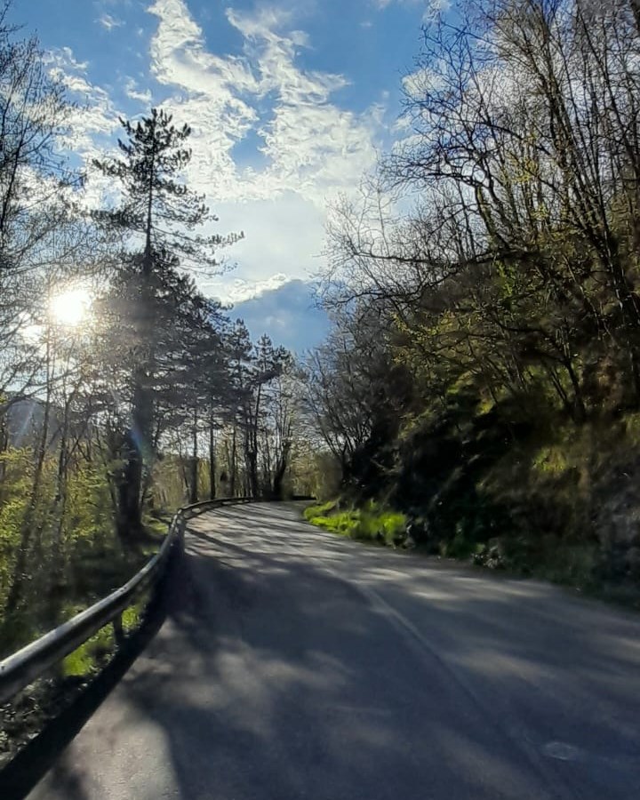 parcoantola's tweet photo. #buongiorno dalla strada vecchia di Laccio...

🔍Sapevi che... Una parte del paese, quella più bassa, si trova lungo la riva destra dello Scrivia, mentre quella superiore è adagiata alla collina

#24aprile https://t.co/eAklvAvax5
