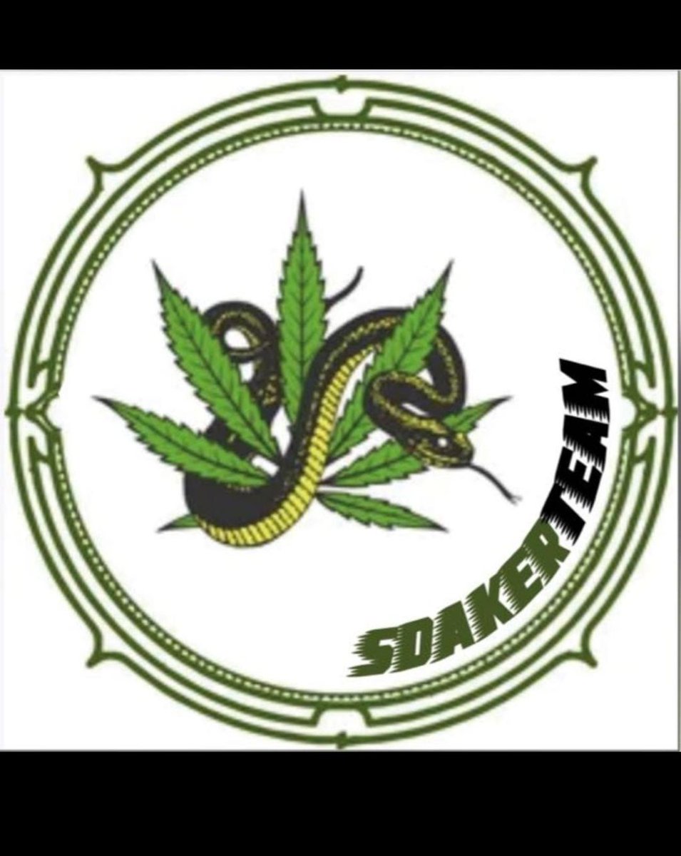 🟢⚫SdakerTeam🟢⚫
👥 N° Giocatori: 16
  
📃 COMPETIZIONI 📃  
• VPG
• EPL
• FPT
• BOCA LEAGUE

🔎 IN CERCA DI 🔎  
• GK
• TS/TD
• CC x2
• ED/ES x2
  
🔹REQUISITI🔹  
• PS4  
• Modulo: 4231/352/41212
• Orari: 21:00/24:00 
• Età: 16+

<a href="/tanadelproclub/">La Tana del ProClub</a> <a href="/HouseOfProClub/">H𝕠𝕦𝕤𝕖 𝕆𝕗 P𝕣𝕠C𝕝𝕦𝕓</a>