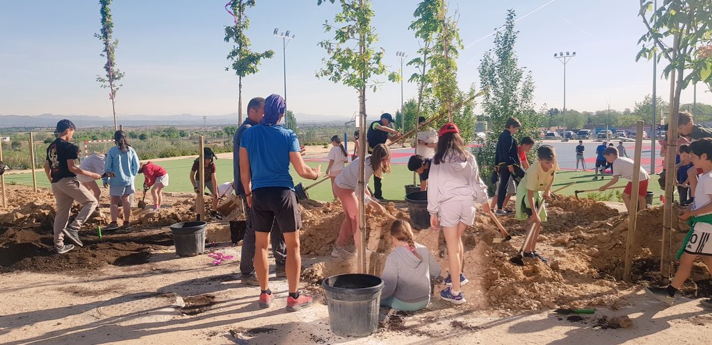 Comienza la #reforestación de una centena de #árboles, trece especies distintas, así cómo de otras trescientas #plantas variadas y propias del #entornonatural. ¡Nuestro alumnado aprenderá y refrescara las nociones básicas que gobiernan el #ciclodevida de la #masavegetal!