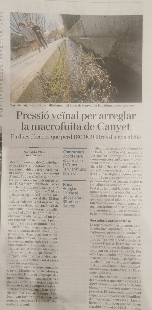 francesc alfambra tweet media