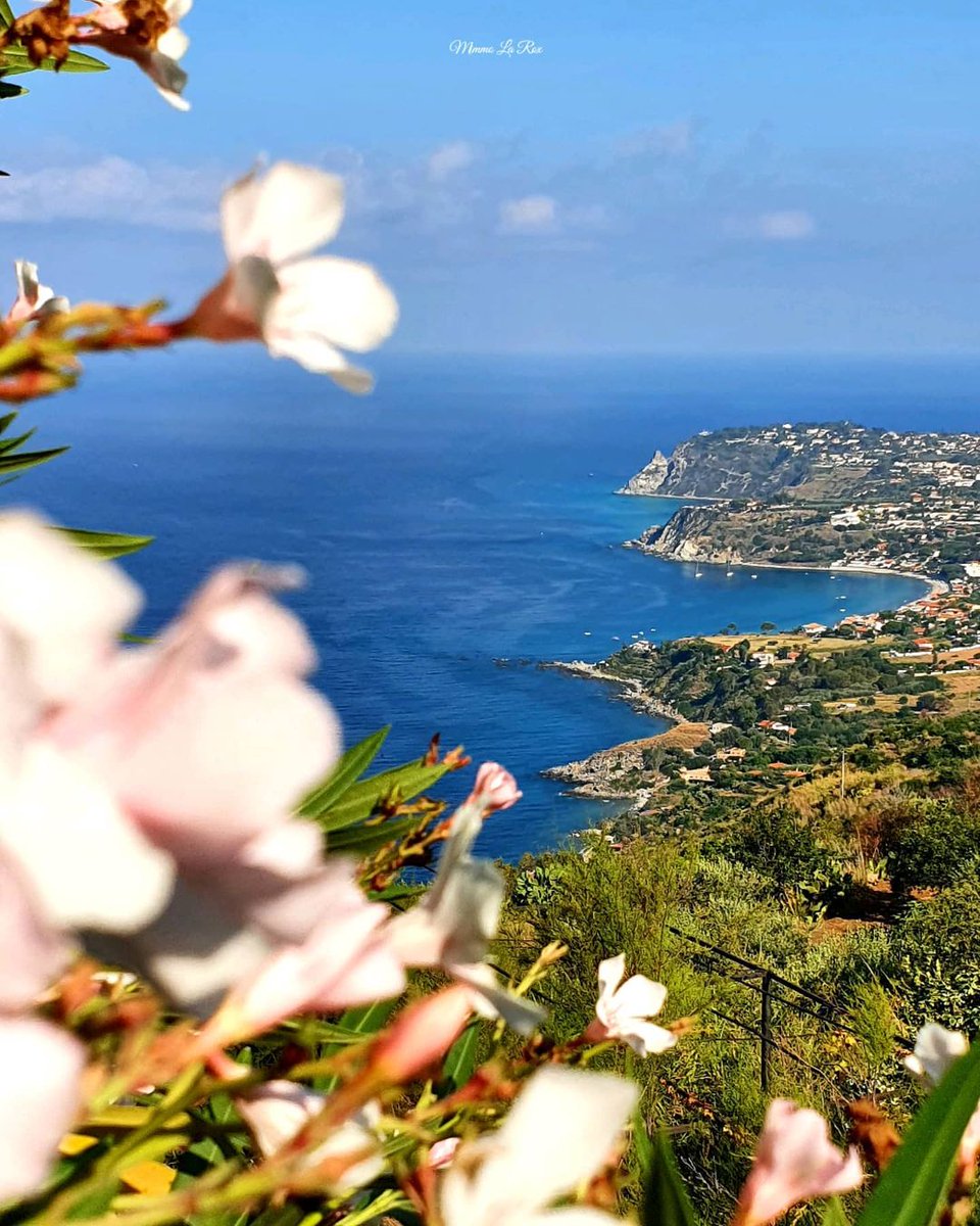 Planifiez un voyage à Capo Vaticano pour découvrir ses superbes plages et sa mer cristalline, que vous pourrez explorer grâce à des excursions en bateau, et de la plongée sous-marine.

📷IG mimmolarox

#LiveItalian #ilikeitaly #YourItalianPOV #calabriastraordinaria #capovaticano