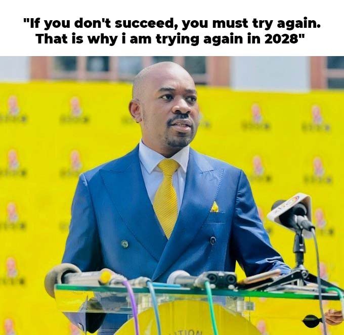 Sammy Karley tweet media