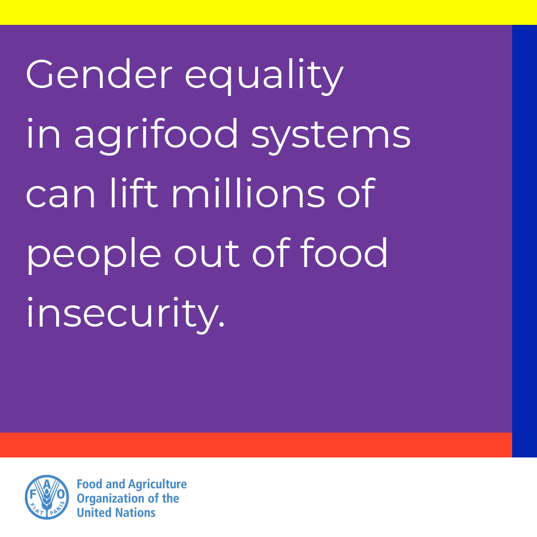 CGIARgender's tweet photo. New @FAO report provides a comprehensive picture of the status of #women not only in agriculture but across food systems. Read more on how @CGIARgender six working papers contributed to the report

👉 https://t.co/vpXei6fBZ5 #GenderinAg @CGIAR 
@IFPRI @FAONorthAmerica @USAID https://t.co/xng6BYbQvA