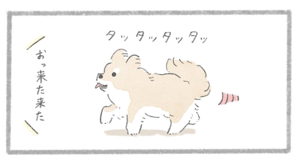 【連載更新】
愛犬マンガ「うちのむっくはいつも楽しそう」

最新話が更新されました!↓
https://t.co/dML9VnH1I9 