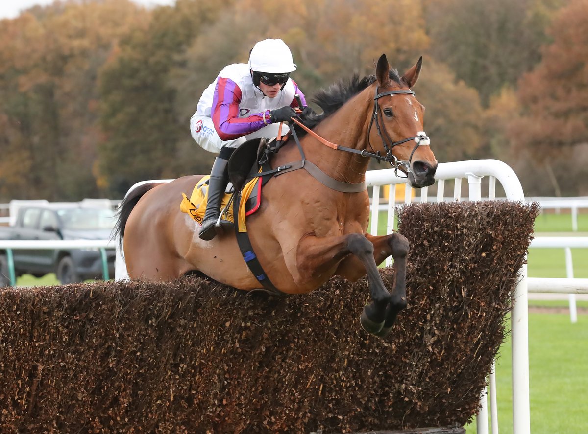 Racing Post on Twitter: 