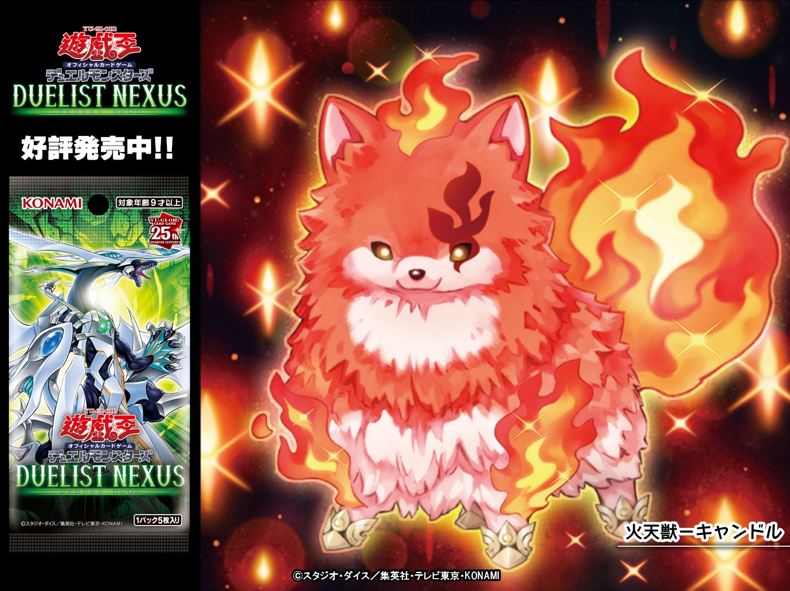 デュエリストネクサス3BOX