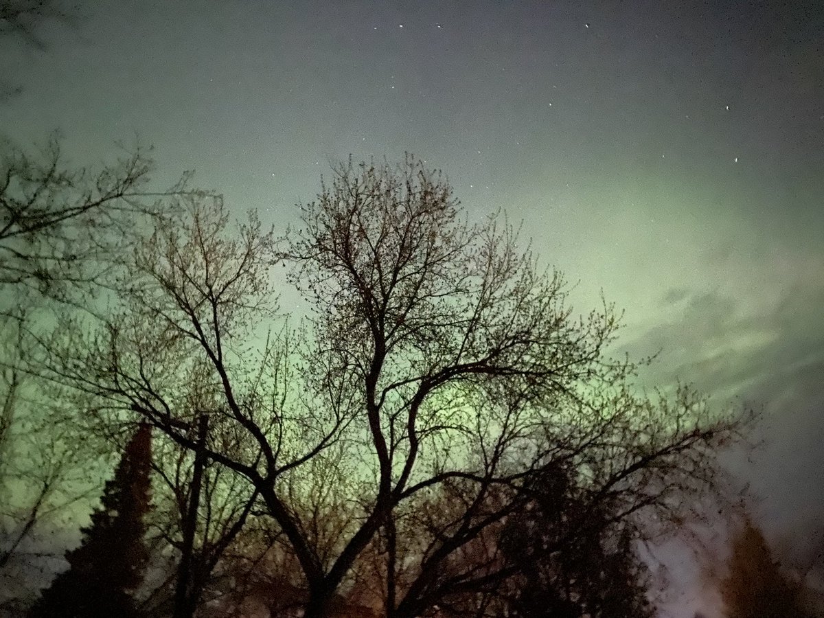 PureCerulean's tweet photo. @StormhunterTWN Muskoka right now. It’s got a lot more movement than the last one https://t.co/LFRcAytNm3
